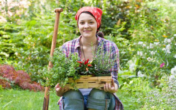 Jak założyć i pielęgnować ogródek ziołowy przy domu
